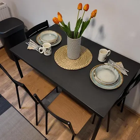 Stylisches Im Pott Modern Und Gemuetlich Appartement